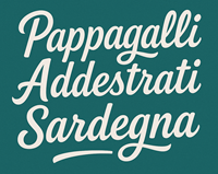 Pappagalli Addestrati Sardegna Pappagalli Addestrati Sardegna